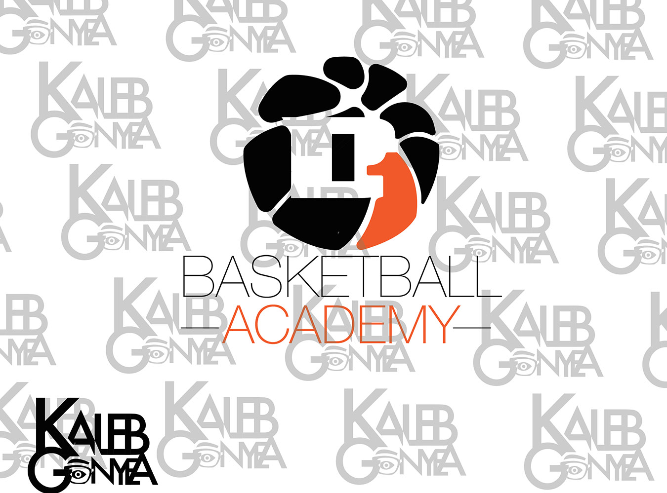 D1 Basketball Academy