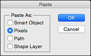 paste dialog box